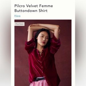 Anthropologie Pilcro Velvet Femme Button Down
